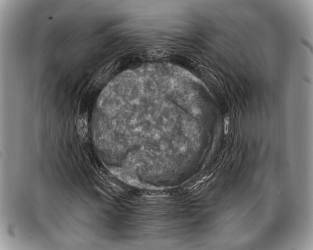 X0000097771011200803281635