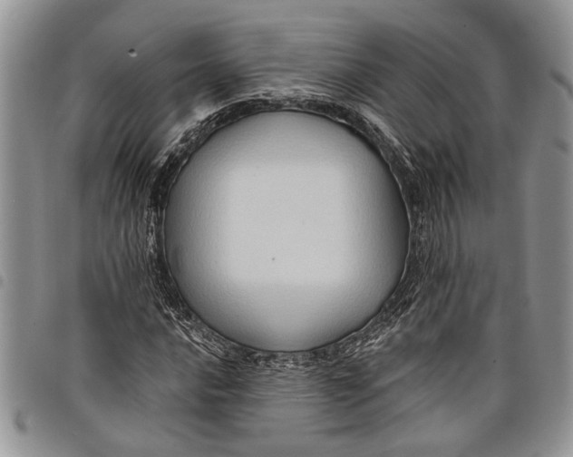 X0000097771016200803281635