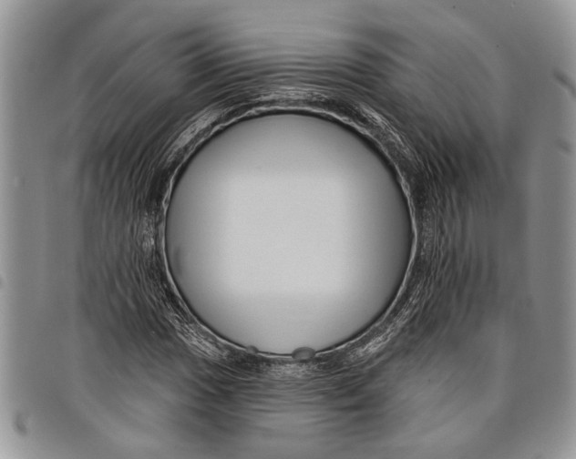 X0000097771017200803281635