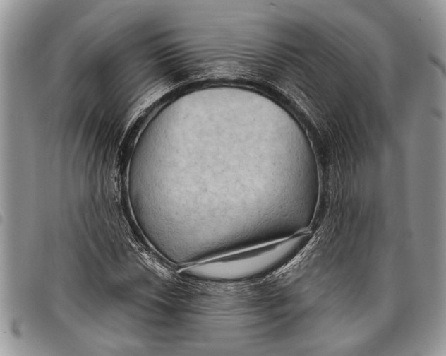 X0000097771018200803281635