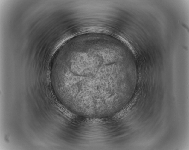 X0000097771019200803281635