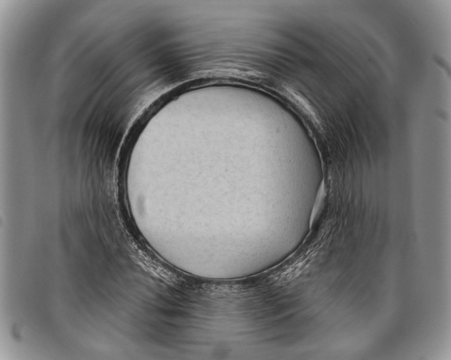 X0000097771020200803281635