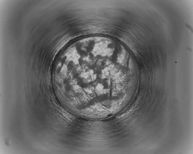 X0000097771023200803281635