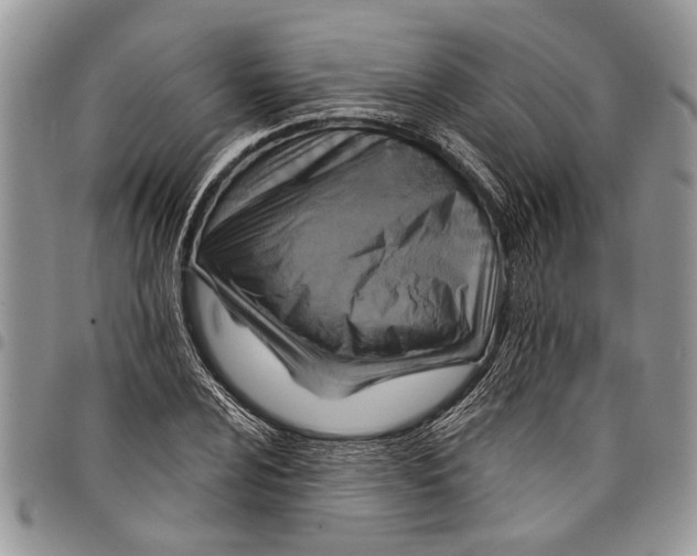 X0000097771024200803281635