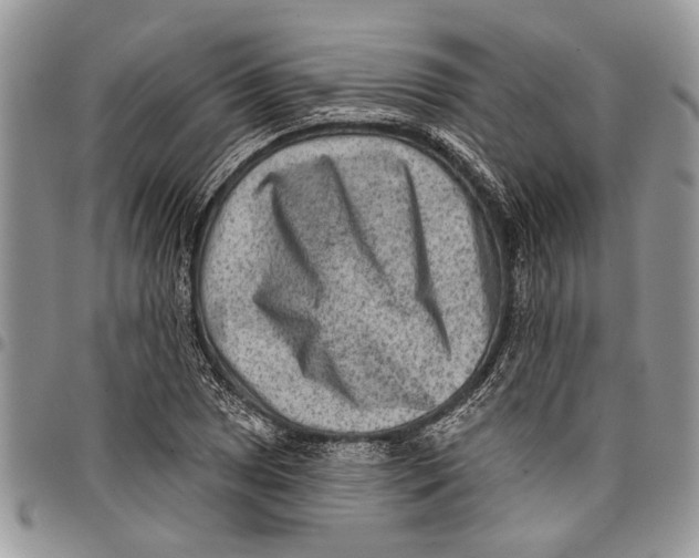 X0000097771025200803281635