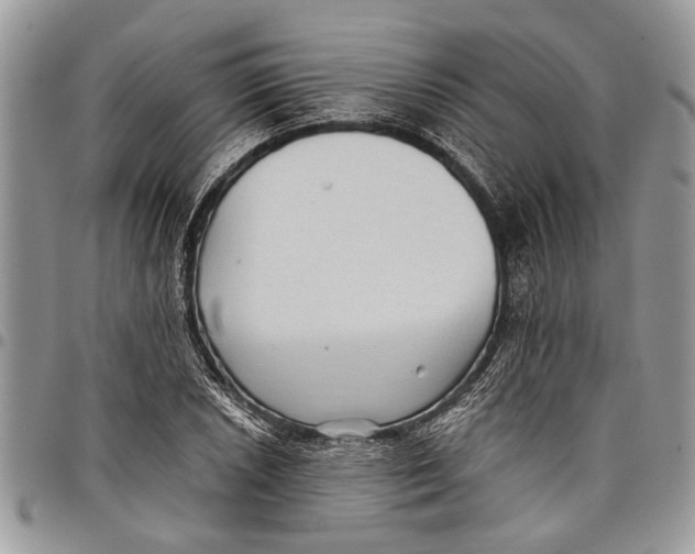 X0000097771026200803281635