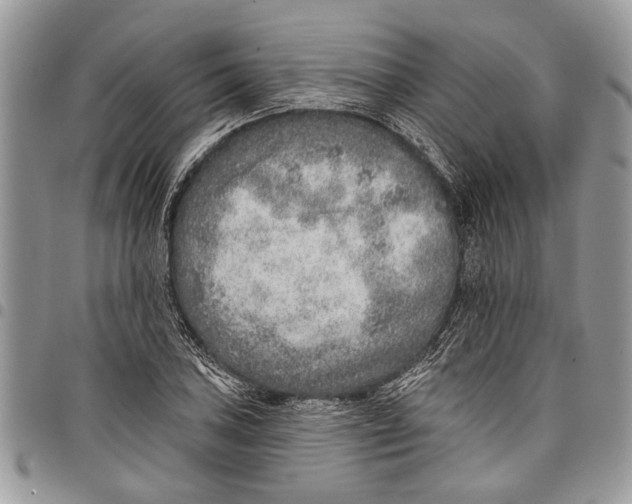 X0000097771027200803281635