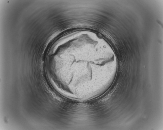 X0000097771029200803281635