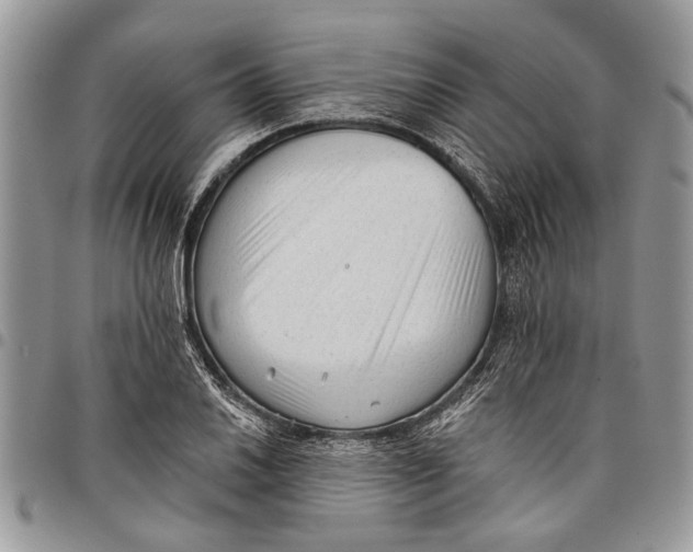 X0000097771030200803281635