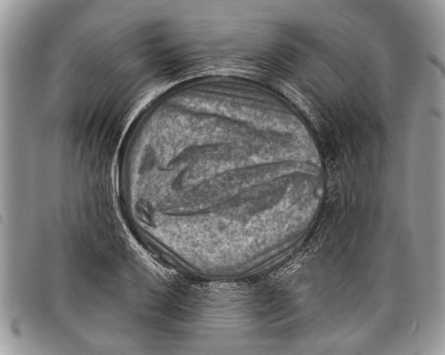 X0000097771032200803281635