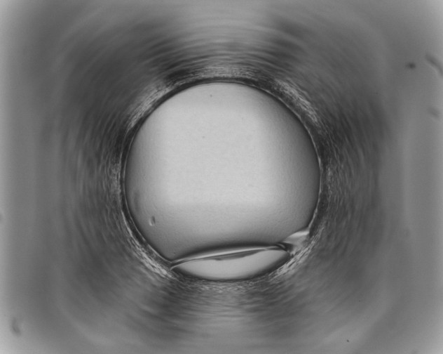 X0000097771033200803281635