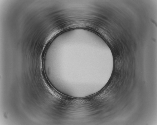 X0000097771034200803281635