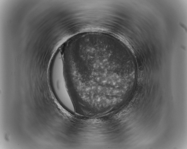 X0000097771037200803281636