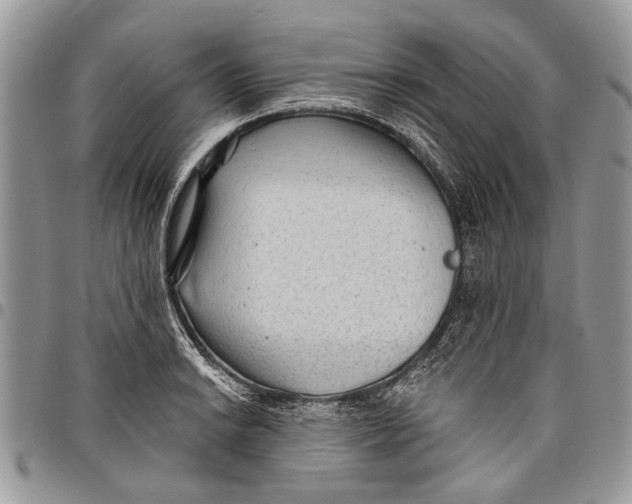 X0000097771038200803281636