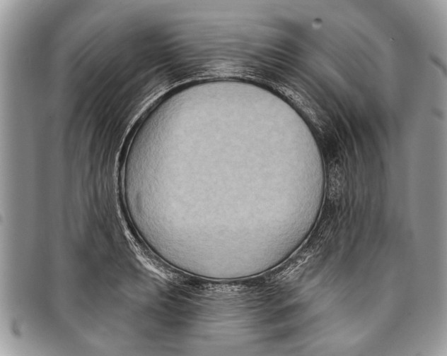 X0000097771039200803281636