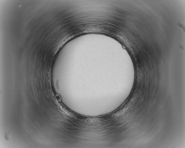 X0000097771041200803281636