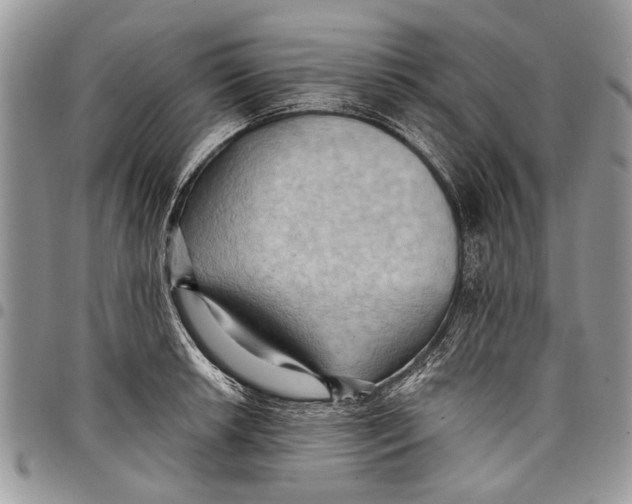 X0000097771042200803281636