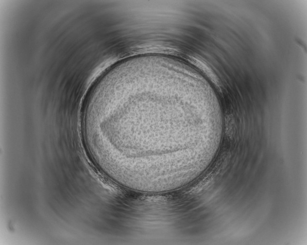 X0000097771043200803281636