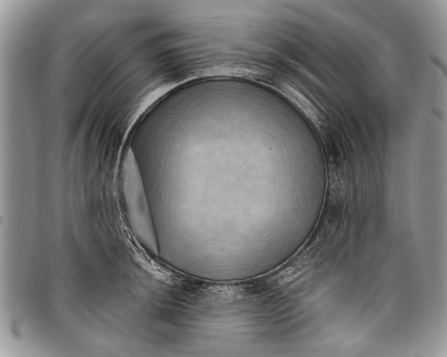 X0000097771044200803281636