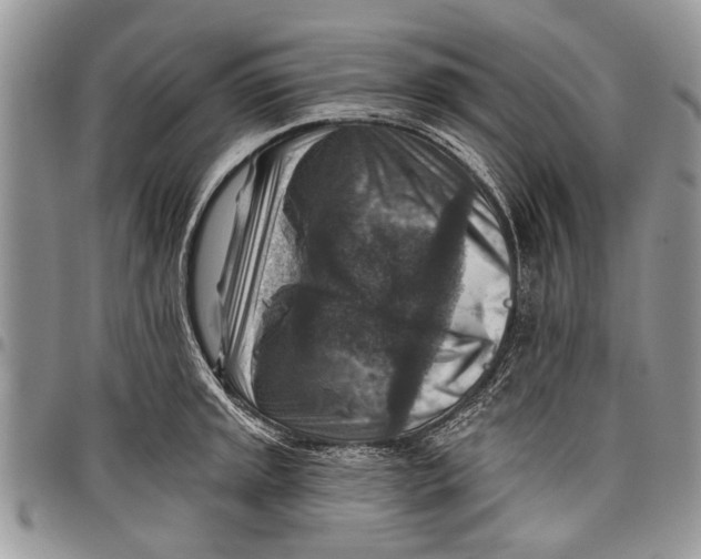 X0000097771045200803281636