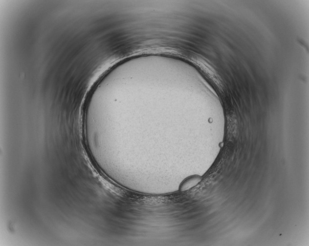 X0000097771046200803281636