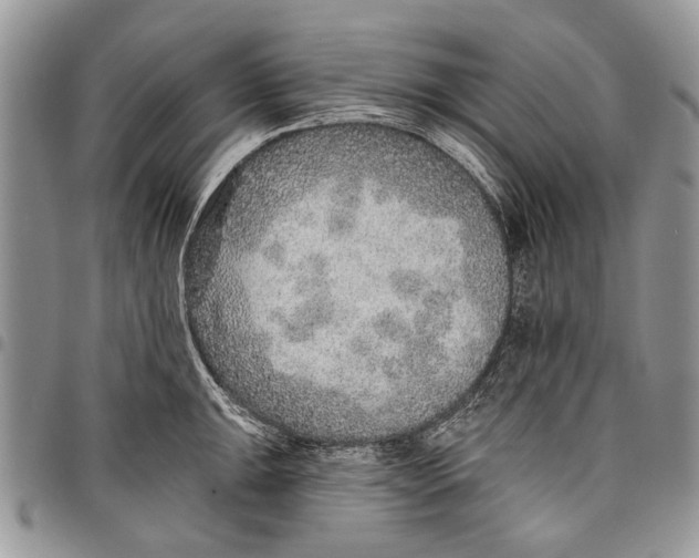 X0000097771047200803281636