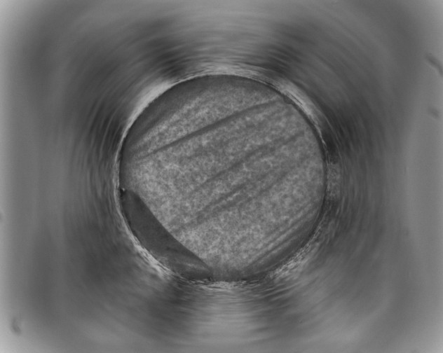 X0000097771048200803281636