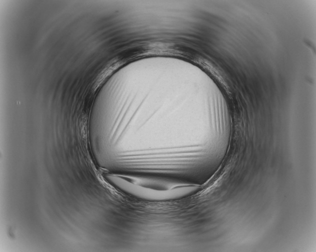 X0000097771049200803281636