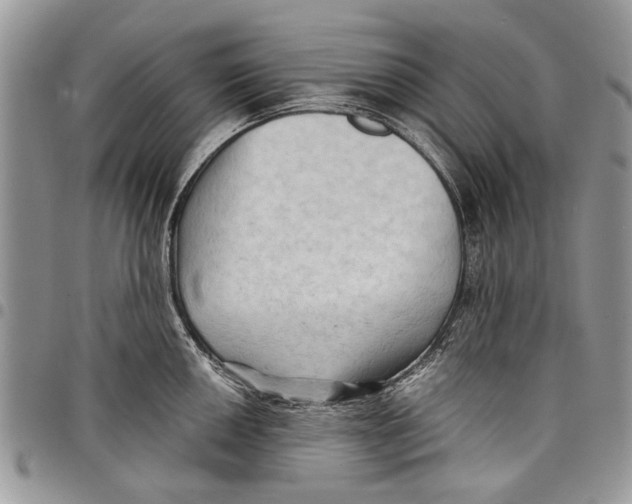 X0000097771050200803281636