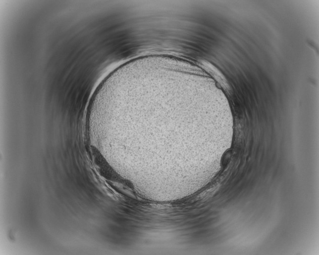 X0000097771052200803281636