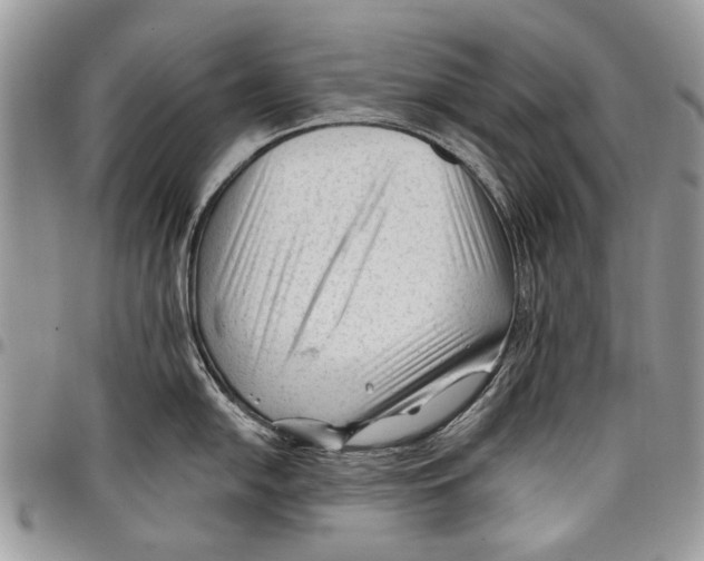 X0000097771054200803281636