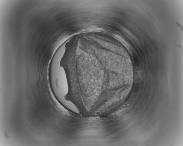 X0000097771055200803281636