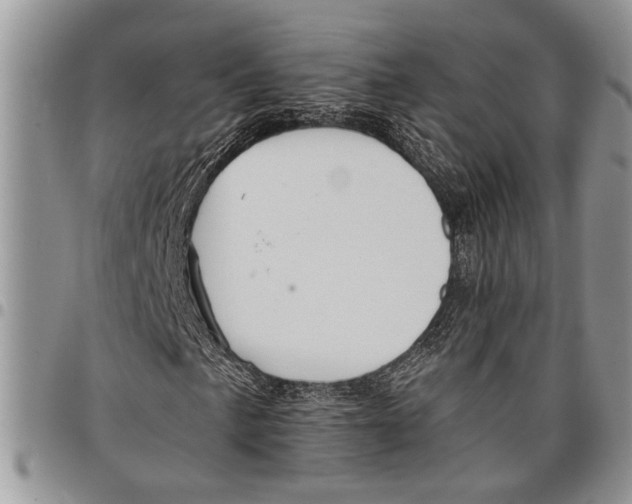 X0000097771057200803281635