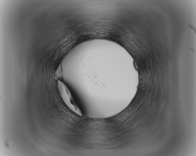 X0000097771058200803281635