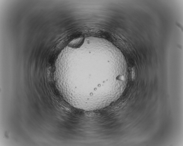 X0000097771059200803281635