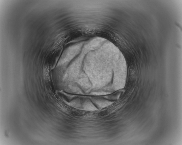 X0000097771060200803281635