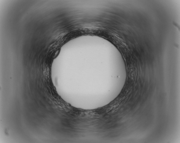 X0000097771061200803281635