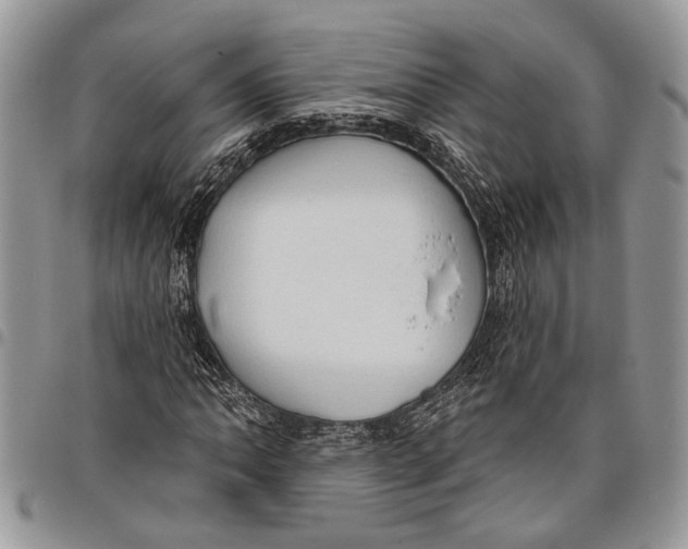 X0000097771062200803281635