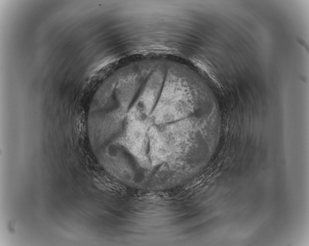 X0000097771063200803281635