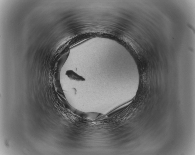 X0000097771064200803281635