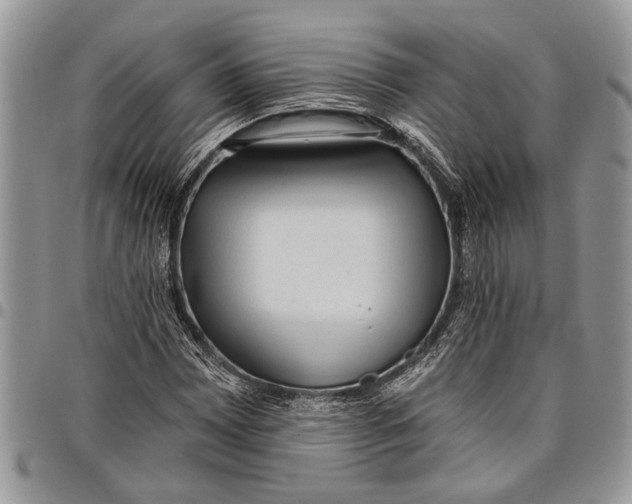 X0000097771065200803281635