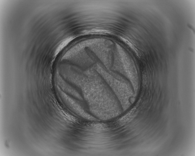 X0000097771066200803281635