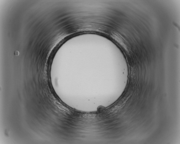 X0000097771068200803281635