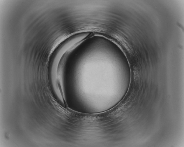 X0000097771069200803281635