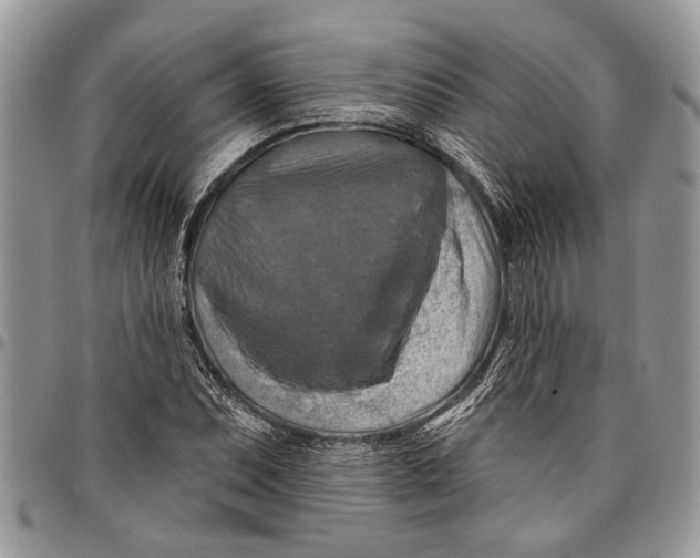 X0000097771071200803281635