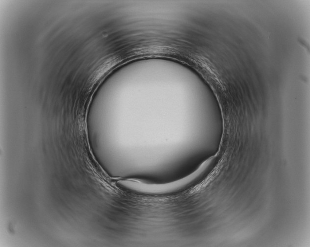 X0000097771073200803281635