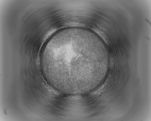 X0000097771074200803281635