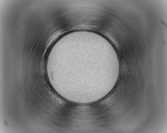 X0000097771075200803281635