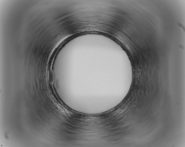 X0000097771076200803281635