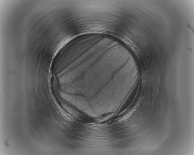 X0000097771077200803281635